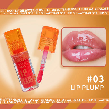 Hydrating Pink Lip Oil Gloss
